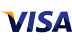 [icon]- visa logo