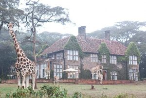 Giraffe-Manor-Best