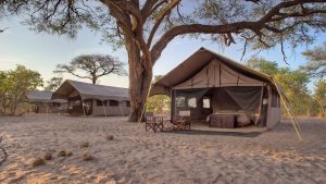 comfortable-mobile-safari-tent-at-savute-under-canvas-chobe-national-park-on-a-luxury-botswana-safari