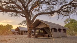 private-campsite-at-savute-under-canvas-chobe-national-park-on-a-luxury-botswana-safari