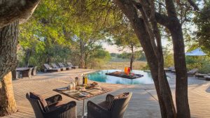swimming-pool-and-loungers-at-andbeyond-phinda-forest-lodge-on-a-south-africa-safari