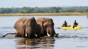 [banner]-lower-zambezi-national-park