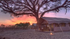 Header-semi-mobile-tented-camps-at-savute-under-canvas-chobe-national-park-on-a-luxury-botswana-safari1