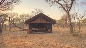 ensuite-tents-at-andBeyond-chobe-under-canvas-on-a-botswana-luxury-mobile-safari