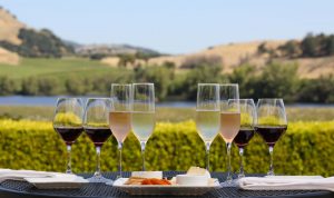 2017-6-14-Domaine-Carneros-Napa-Wineries-Wine-and-Cheese-Pairing-Blog-Size-0861-1600x950